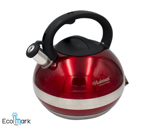 Tetera LUISSANT Acero Inoxidable 4.5 Litros