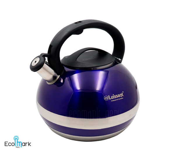 Tetera LUISSANT Acero Inoxidable 4.5 Litros