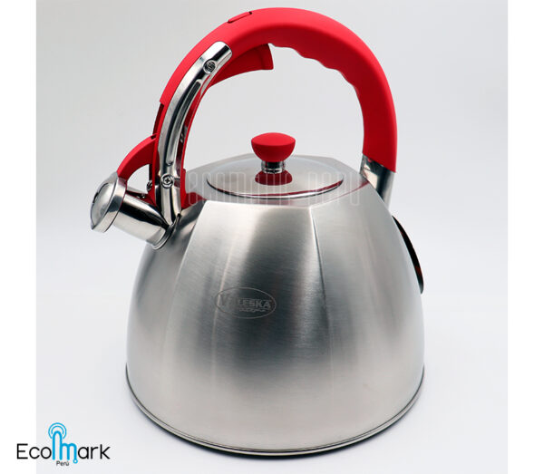 Tetera Acero Inoxidable Inoxidable Valeska 5 Lt.